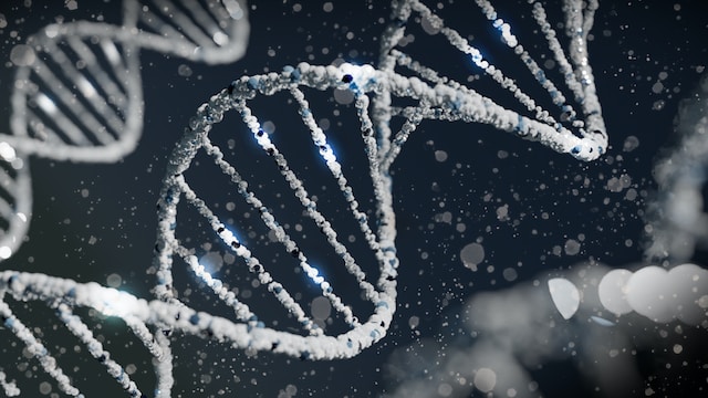 DNA Evidence: Analysis, Correlation & Interpretation