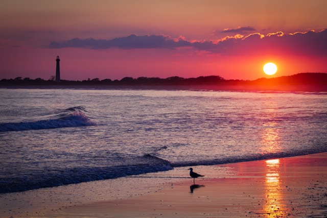 The Cape May Bubble: NJ's Most Unique Climate Zone